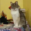 Отзыв от Дарья Короткова